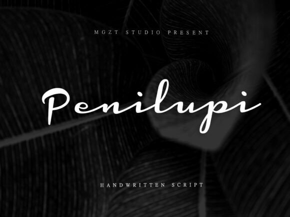 Penilupi: A Retro Script Font Built for Digital Branding