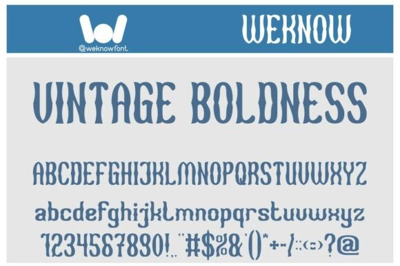 Vintage Boldness: A Serif Font for Timeless Marketing Impact